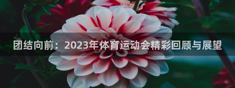 yy易游官方正版app五金厂:团结向前:2023年体育运动会