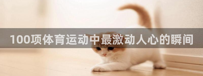 yy易游官方正版app集团官网首页网址:100项体育运动中最