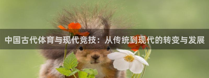 yy易游官网下载平台APP:中国古代体育与现代竞技:从传统到