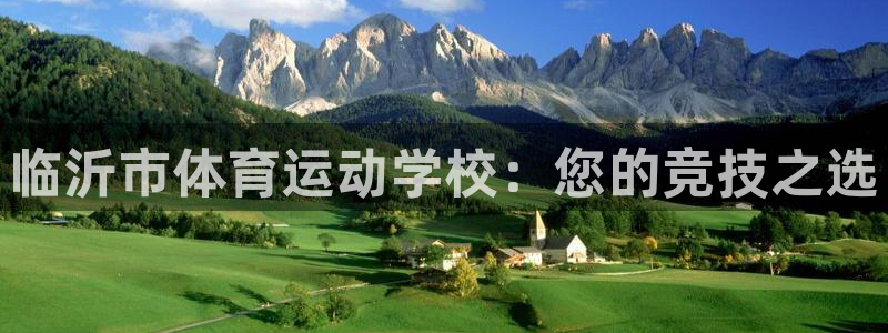 yy易游官方正版app娱乐代理怎么样:临沂市体育运动学校:您