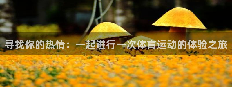 yy易游官方集团官网:寻找你的热情:一起进行一次体育运动的体